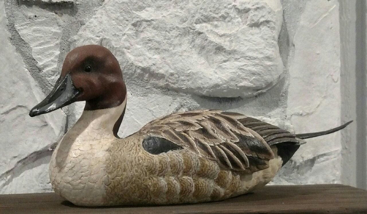 Pintail Duck Decoys for sale Only 2 left at 75