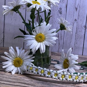 Handcrafted Daisy Paracord Goat Show Chain Collar image 4