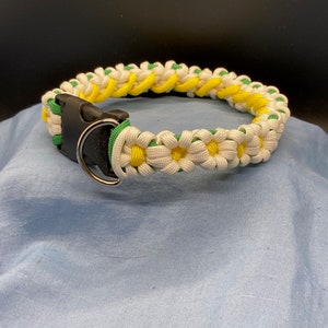 Paracord Daisy Goat Collar