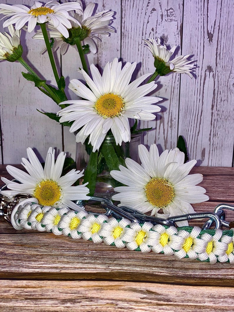 Handcrafted Daisy Paracord Goat Show Chain Collar image 1