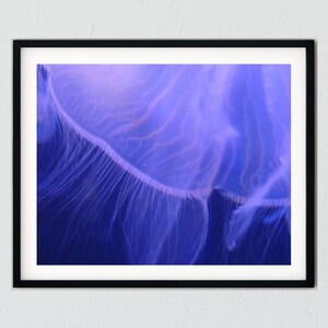 Jellyfish Deep Sea Digital Download Photo
