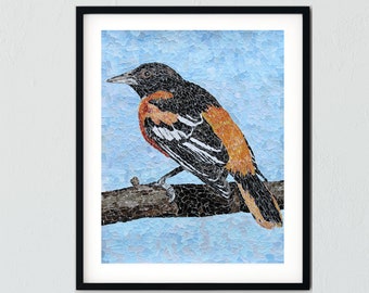 Baltimore Oriole Bird Art Print Torn Paper Collage