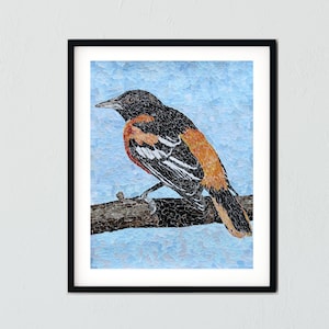 Baltimore Oriole Bird Art Print Torn Paper Collage