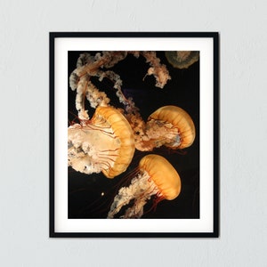 Jellyfish Sea Photo Digital Download