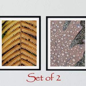 Set of 2 Leaf Texture Photos Digital Download Art Prints