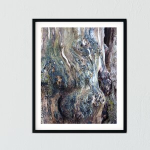Abstract Tree Trunk Photo Digital Download - Etsy