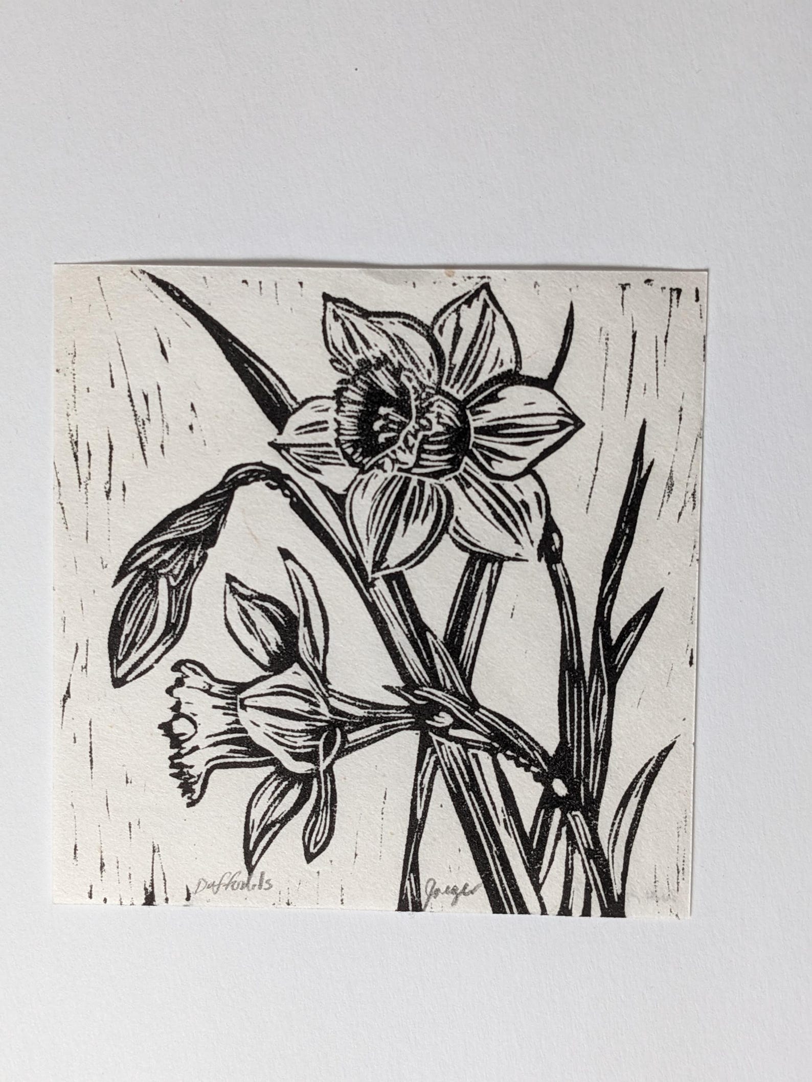 Daffodil Flowers Mini Print Linocut Block Print 223 Etsy