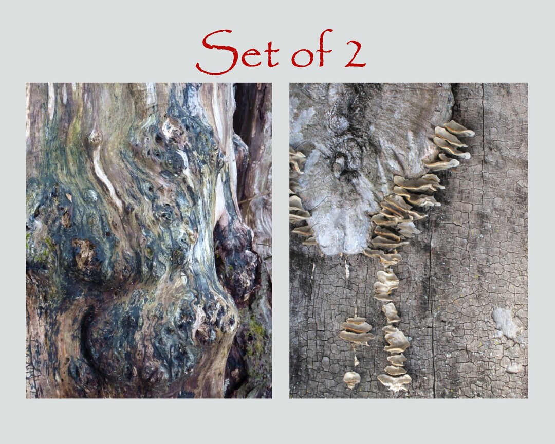 Abstract Tree Trunk Drawing Set of 2 Abstract Tree Trunk Digital Download Art Prints - Etsy