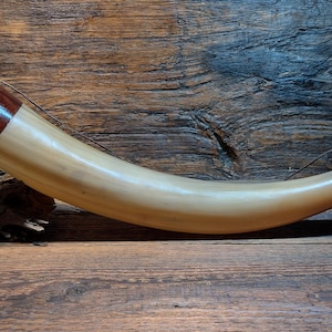 Viking blowing horn, Bugle, Signal horn, Hunting Horn ,Scandinavian blowing horn, War horn huge