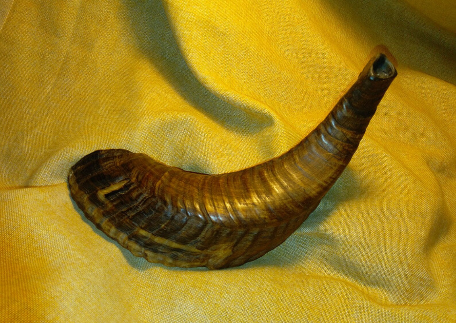 Bukkehorn Viking horn instrument Viking blowing horn Etsy
