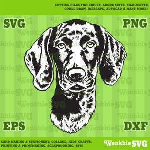 May include: Black and white illustration of a Bloodhound dog's head. The dog is looking directly at the viewer. The image is on a green background with the words "SVG", "PNG", "EPS", and "DXF" in white.