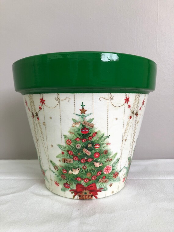 christmas pot plants