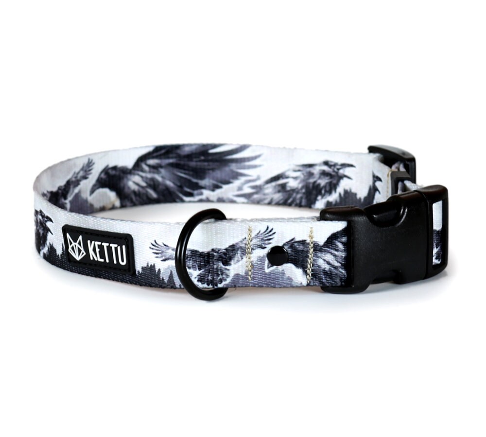 ravens dog collar