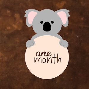 Carte miliari del bambino Koala, dischi miliari in legno, supporto fotografico per neonati, annuncio di nascita, regalo per la doccia per bambini, Baby-Meilenstein-Karten