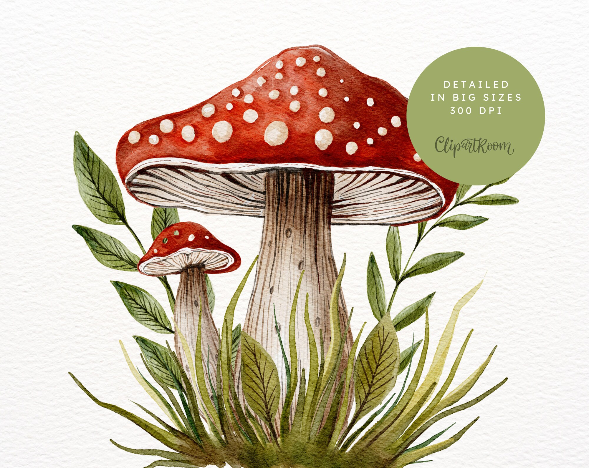 Mushroom Png Watercolor Clipart Mushroom Stickers Autumn Stickers mushroom-png-watercolor-clipart-mushroom-stickers-autumn-stickers