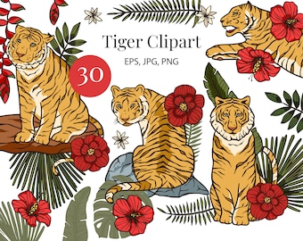Tiger and Floral Clipart: Chinese New Year Graphics (PNG, JPG, EPS)