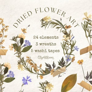 Arte de flores prensadas arreglos florales secos flores prensadas y cinta washi digital marco de flores prensadas pegatina de corona de flores secas png