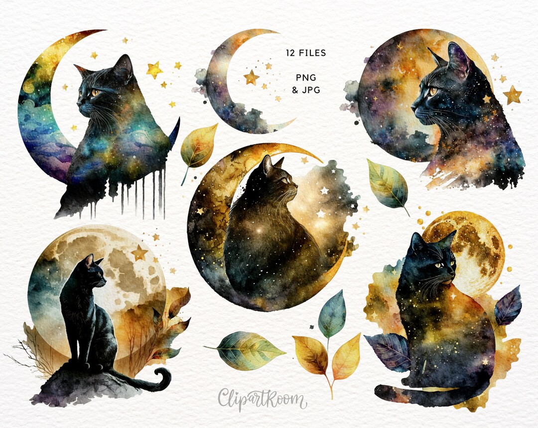 Black Cat Clipart Png Pet Watercolor Celestial Png Cartoon Clipart Moon ...