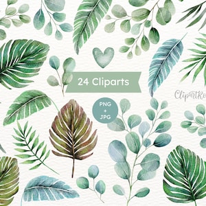 Tropical Clipart Watercolor Clipart Eucalyptus Plant Tropical Leaves Png Palm Leaves Png Monstera Clipart  Botanical Clipart