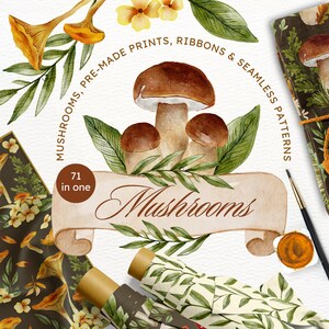 Magischer Pilz Clipart Pilz Tapete Pilz Png Aquarell Clipart Pilz Aufkleber Thanksgiving Clipart Ornament Png