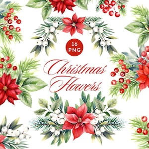 Watercolor Christmas Clipart: Poinsettia Flowers, Winter Frames (PNG)