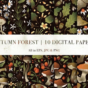 Autumn digital paper Fall digital paper Floral graphic seamless pattern pack Botanical print set Commercial use Instant download