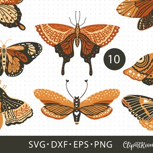Borboleta monarca svg Clipart borboleta, arquivos svg vintage para cricut, borboleta png para uso comercial