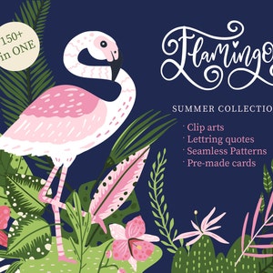 Flamingo clipart, Summer clipart with flamingo print, Cartoon vector for Commercial use