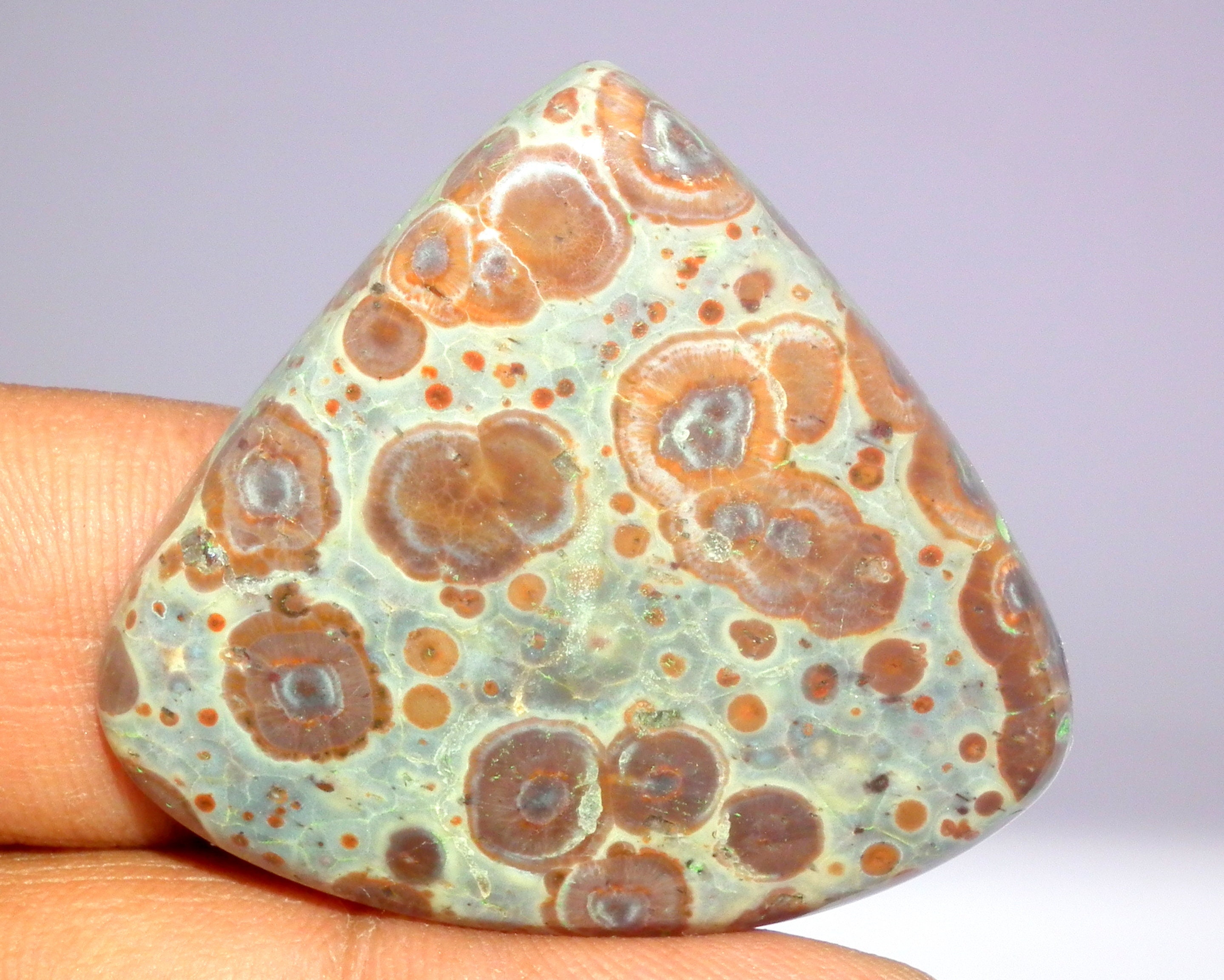 Asteroid Jasper Gemstone Asteroid Jasper Cabochon Asteroid Etsy