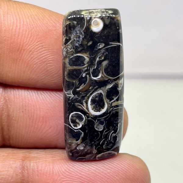 Turritella Agate,Turritella Agate Cabochon,Turritella Fossil Stone, Turritella Cabochon,Rectangle Cabochon,23 cts,12.75x33.60x5.30mm Approx