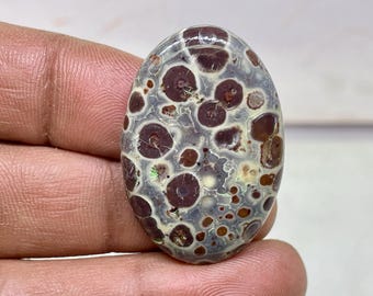 Asteroid Jasper Gemstone,Asteroid Jasper Cabochon,Oval Shape,41 cts,37 x 25 x 5 mm approx