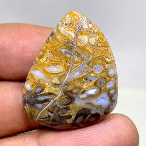 May include: A teardrop-shaped cabochon of agate with a swirling pattern of brown, yellow, white, and gray. The agate has a unique, organic look.
