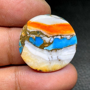 Arizona Mohave Türkis mit Spiny Oyster Cabochon, runde Form Cabochon, 21 cts, 25.60 x 3.50 mm ca