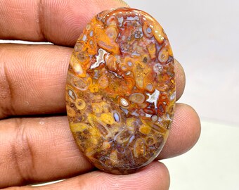 Fossil Palm Root Agate,Palm Root Agate Cabochon, Oval Shape fossil Palm Root Cabochon, 45 cts, 28.80 x 44.45 x 4.25 mm Approx
