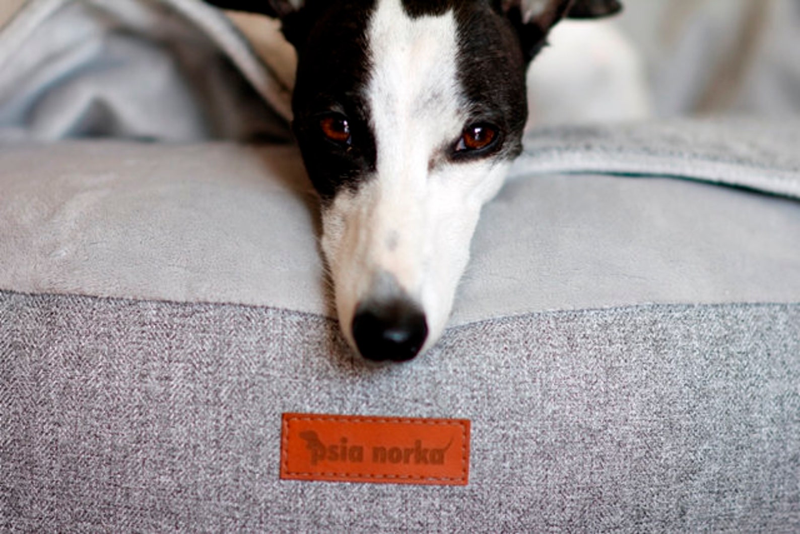 Gemütliches Höhlenbett für Hund Kuschelbett Etsy