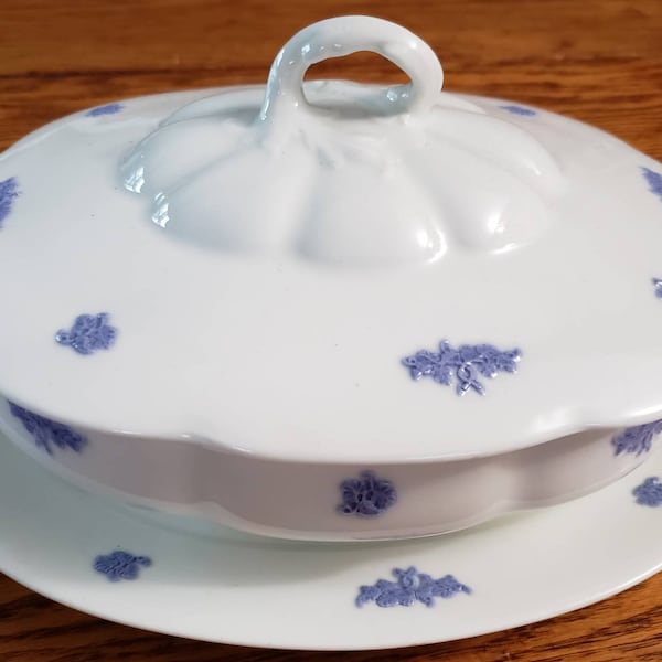 1900's, Vintage, Adderley, Oval Covered Vegetable, With Underplate, Chelsea, Blue Grape, Bone China, Farmhouse Decor, Poorman's Wedgewood