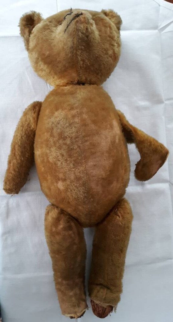 teddy bear 1902