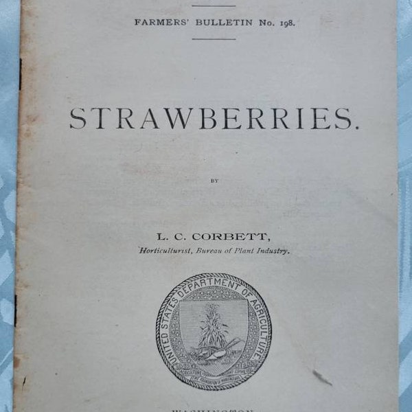 1904, Strawberries, Farmers Bulletin, US Dept Agriculture, Propagation, Cultivation, Harvesting, Varieties, Fruit, Vegetation, Illust