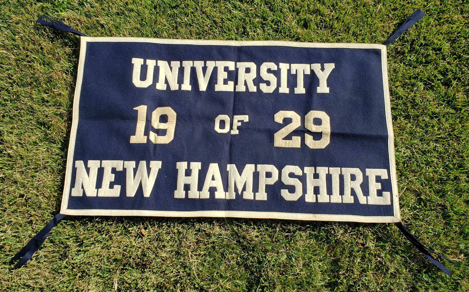 Scarce University of New Hampshire Banner 1920's Etsy