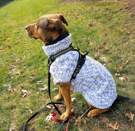 handmade dog clothes