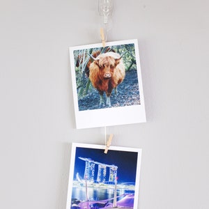 Vertical Cable Photo Display, Room Decor Clothespeg Wire Picture Hanger ...