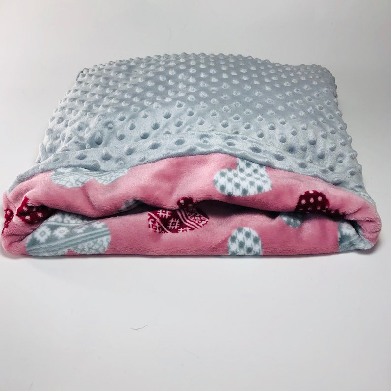 minky luxury pouch pet blanket Sleeping bag for dog and cat ANN fleece