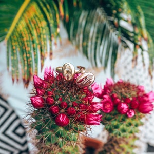 May include: Two gold rings with a shell design, resting on a pink cactus flower.