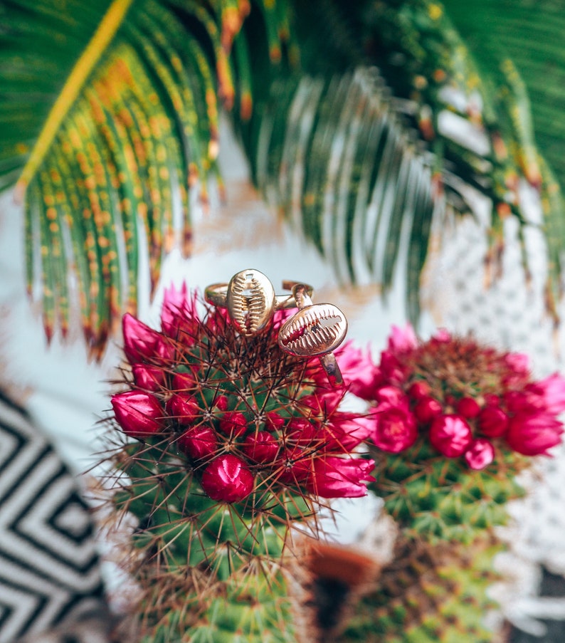 May include: Two gold rings with a shell design, resting on a pink cactus flower.
