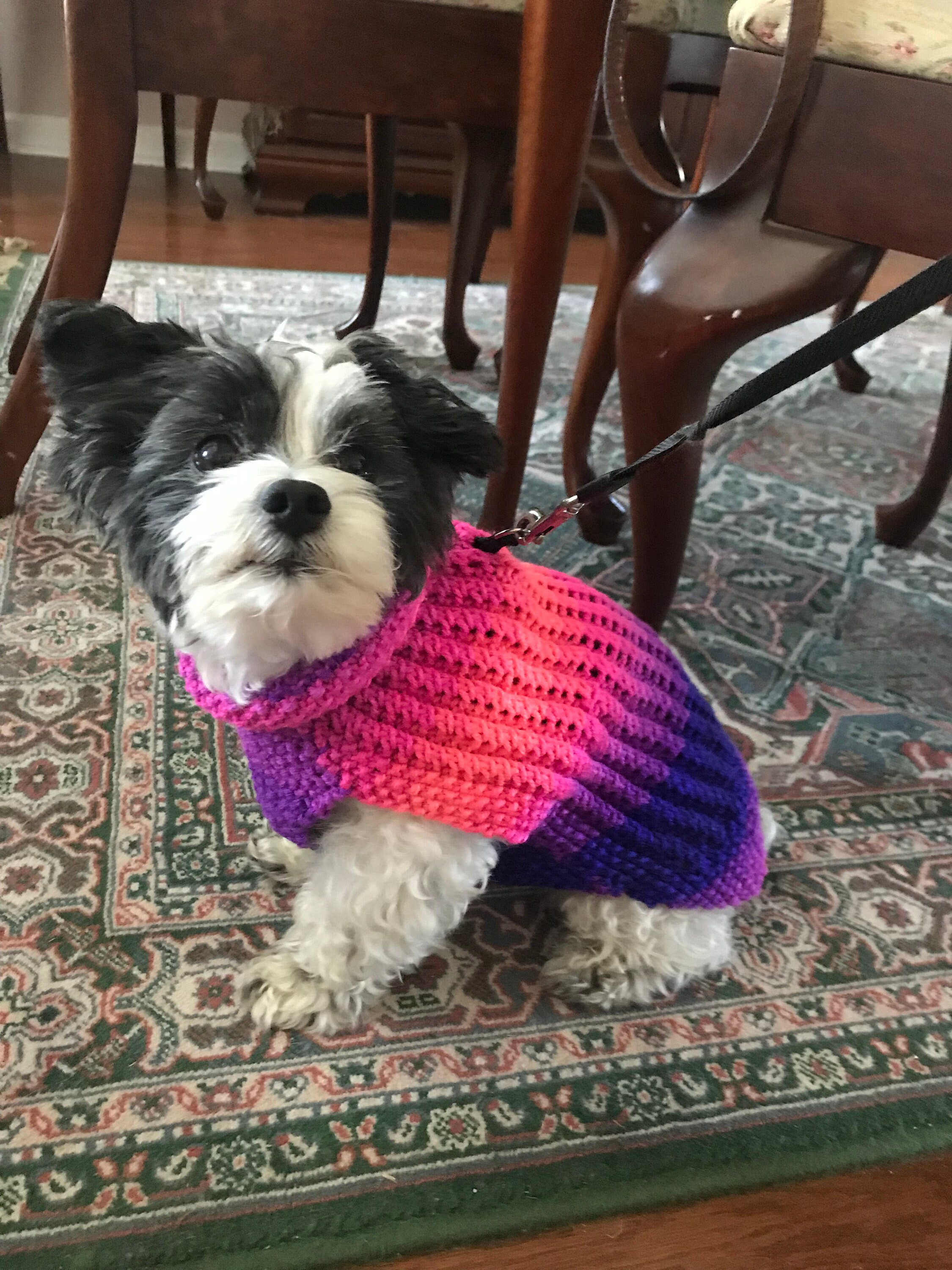 Hand Knitted Dog Sweaters Size XXSmall Etsy