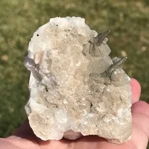 May include: A cluster of white quartz crystals with two black tourmaline crystals protruding from the top.