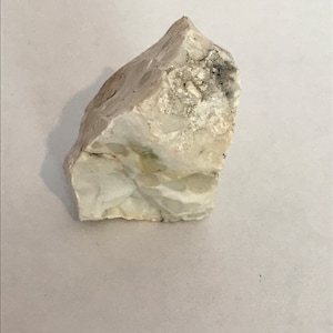 White Opalized Petrified Wood Mineral Specimen from Goffs, California Old Stock Inventory