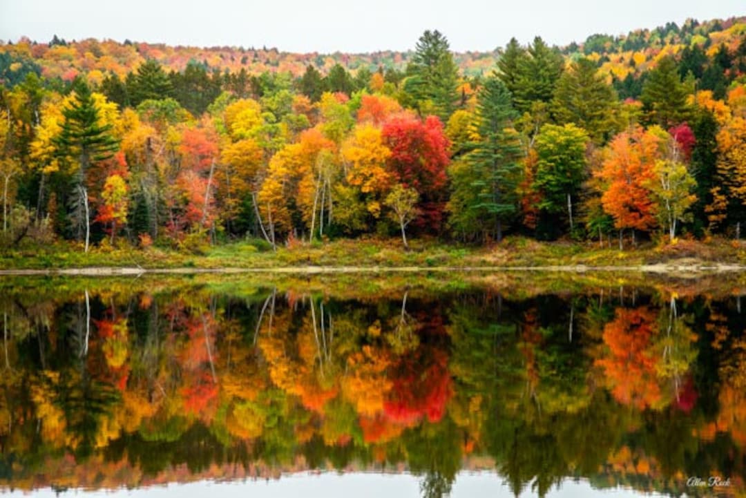 Fall Foliage Wrightsville Reservoir Vermont Etsy
