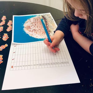 U is for Urchin Activity Booklet