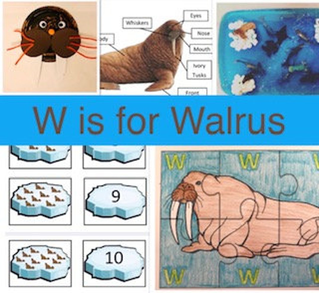 W is for Walrus Activity Booklet Etsy Canada